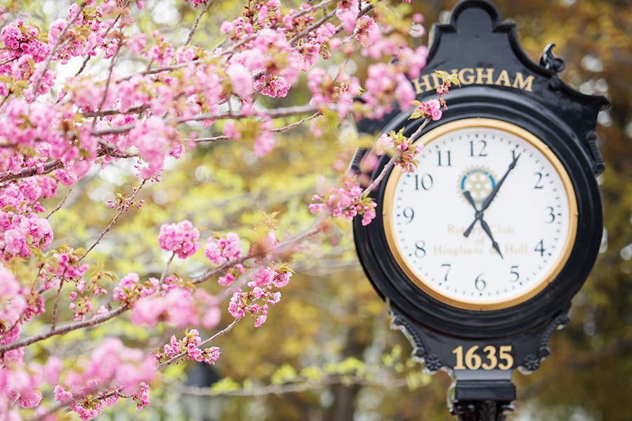 Maloy-clock-flowers-900×600 Maloy-clock-flowers